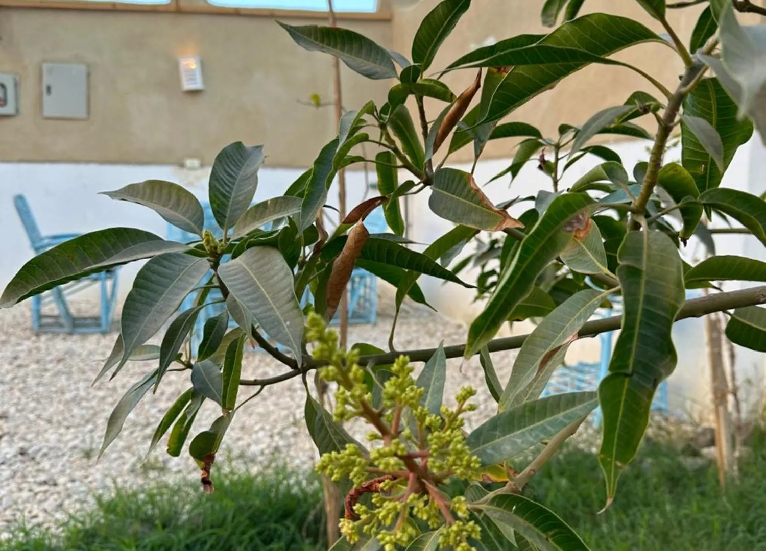 Holiday home Tuya House Luxor Villa