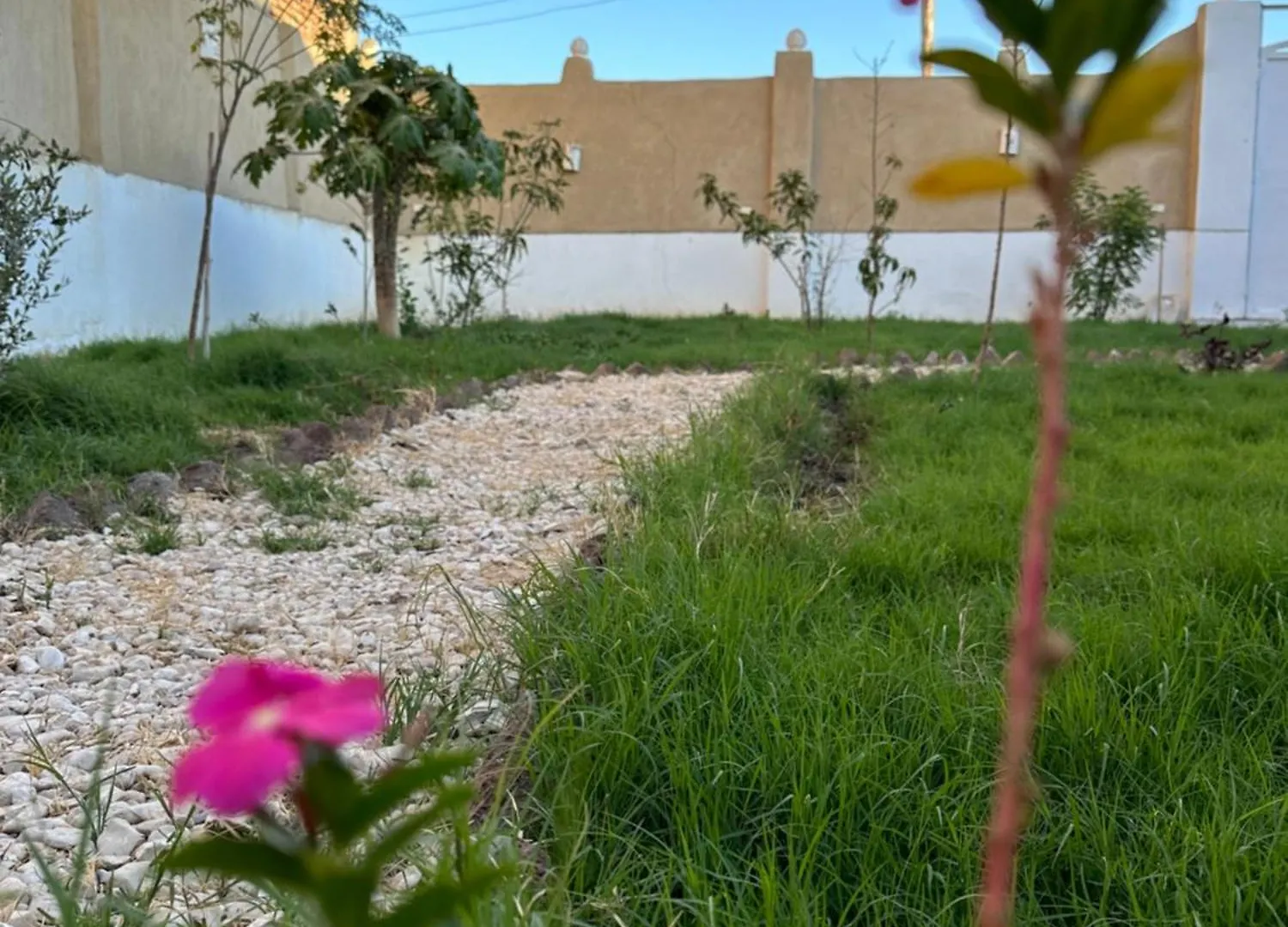Tuya House Luxor Villa