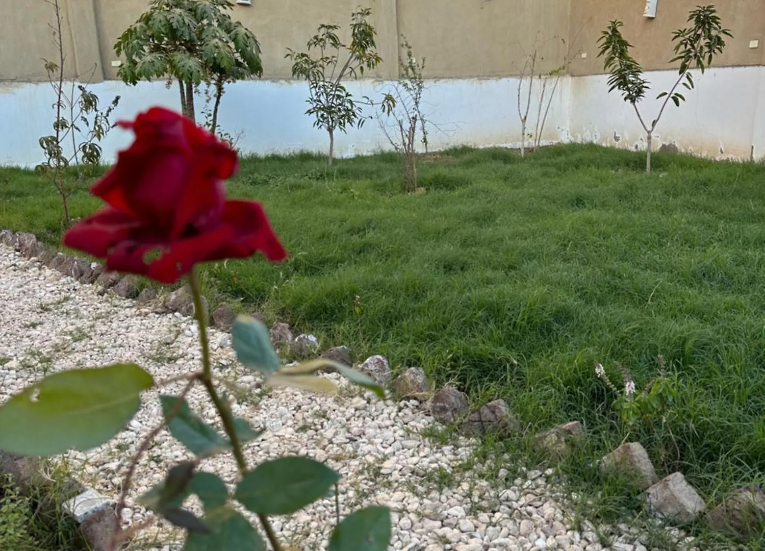 Tuya House Luxor Villa Holiday home